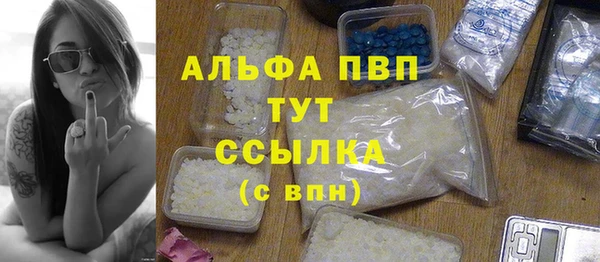 индика Армянск