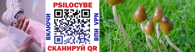Галлюциногенные грибы GOLDEN TEACHER  Спас-Деменск 